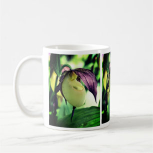 White Lady Slipper Orchid Blume Kaffeetasse