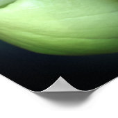 White Lady Slipper Orchid Blume Mirror Abstrakt Poster (Ecke)