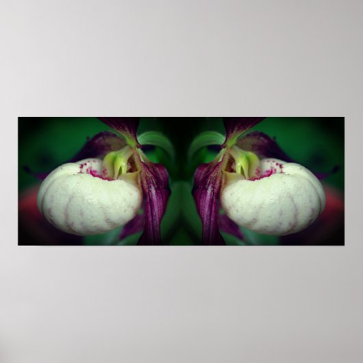 White Lady Slipper Orchid Blume Mirrored Poster (Vorne)