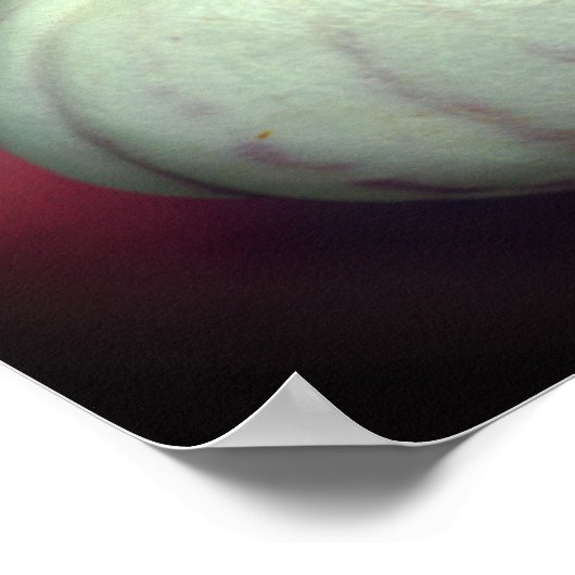 White Lady Slipper Orchid Blume Mirrored Poster (Ecke)