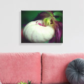 White Lady Slipper Orchid Blume Nah Leinwanddruck (Insitu (Wohnzimmer))