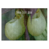 White Lady Slipper Orchid Blume Nature