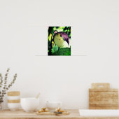 White Lady Slipper Orchid Blume Poster (Küche)