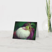 White Lady Slipper Orchid Flower Photography Note Karte (Vorderseite)