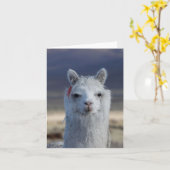 White Lama Alpaca Nah oben Kopf Note Card Karte (Gelbe Blume)
