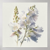White Larkspur Blume Art Print Poster (Vorne)