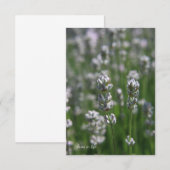 White Lavender Mitteilungskarte (Vorne/Hinten)