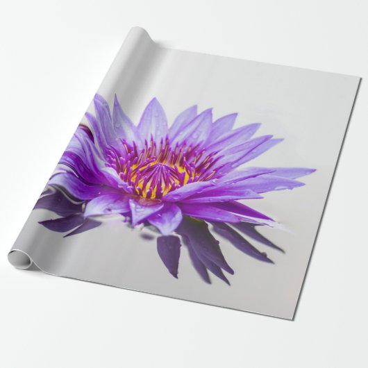 White Lila Lotus Blume Zen Geschenkpapier (Ungerollt)