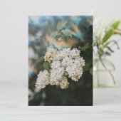 White Lilac Flowers with Rainbow Flare card (Stehend Vorderseite)