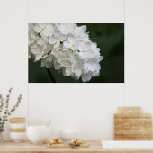 White Lilacs Poster (Küche)