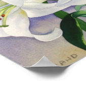 White Lilies 2008 Poster (Ecke)