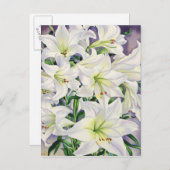 White Lilies 2008 Postkarte (Vorne/Hinten)