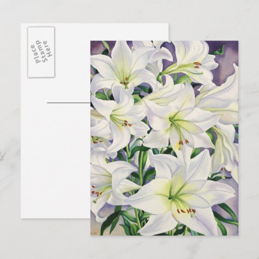 White Lilies 2008 Postkarte (Vorne/Hinten)