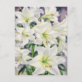 White Lilies 2008 Postkarte (Vorderseite)