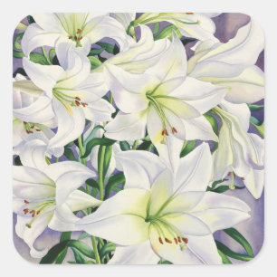 White Lilies 2008 Quadratischer Aufkleber