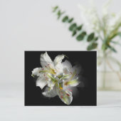 White Lilies Fantasy Postkarte (Stehend Vorderseite)