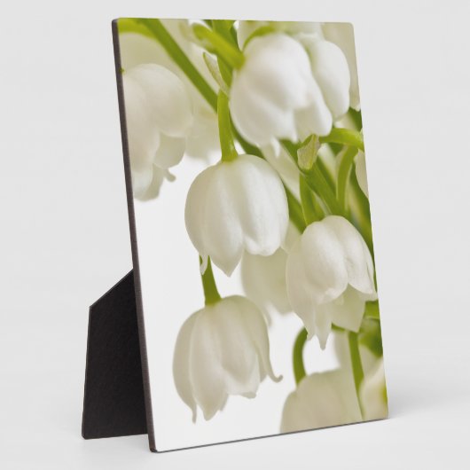 White Lilies Fotoplatte (Seite)