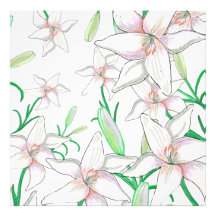 White Lilies Illustration