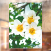 White Lilies - Lily Blume Lilium candidum Fensteraufkleber (Blatt 2)