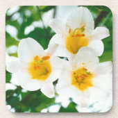 White Lilies - Lily Blume Lilium candidum Getränkeuntersetzer (Vorderseite)