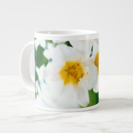 White Lilies - Lily Blume Lilium candidum Jumbo-Tasse
