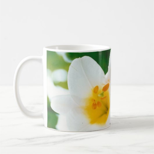 White Lilies - Lily Blume Lilium candidum Kaffeetasse (Links)