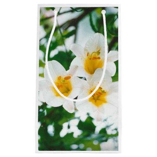 White Lilies - Lily Blume Lilium candidum Kleine Geschenktüte (Vorderseite)