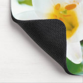 White Lilies - Lily Blume Lilium candidum Mousepad (Ecke)