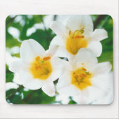 White Lilies - Lily Blume Lilium candidum Mousepad (Vorne)