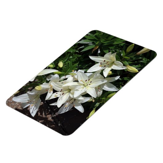 White Lilies Magnet (Linke Seite)