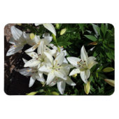 White Lilies Magnet (Horizontal)