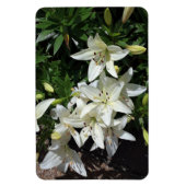 White Lilies Magnet (Vertikal)