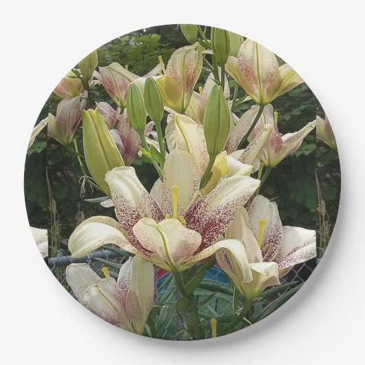 White Lilies Pappteller (Vorderseite)