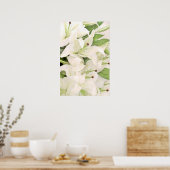 White Lilies_Poster Poster (Küche)