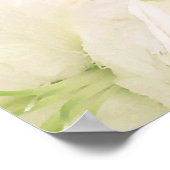White Lilies_Poster Poster (Ecke)