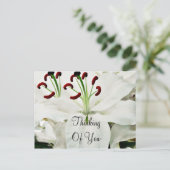 White Lilies_ Postkarte (Stehend Vorderseite)