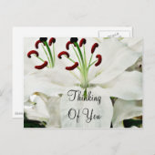 White Lilies_ Postkarte (Vorne/Hinten)