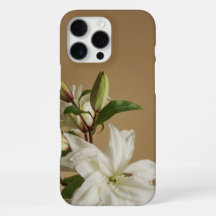 White lillies on soft tan background