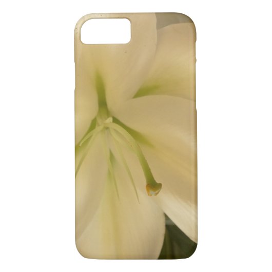 White Lillum Blume Apple iPhone 7, selten dort Case-Mate iPhone Hülle (Rückseite)