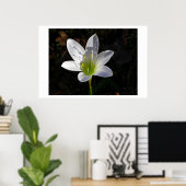 White Lilly Poster (Heimbüro)