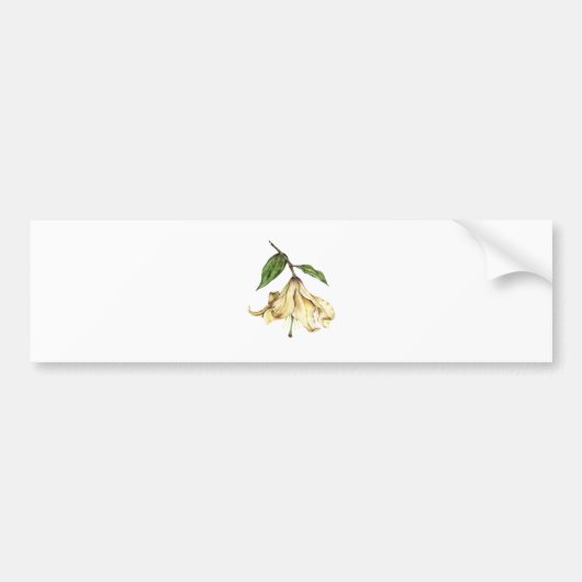 White Lily Autoaufkleber (Vorne)