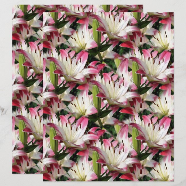 White Lily Blume Nature Pattern Scrapbook (Vorne/Hinten)