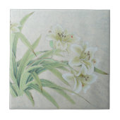 White Lily Fliese (Vorderseite)