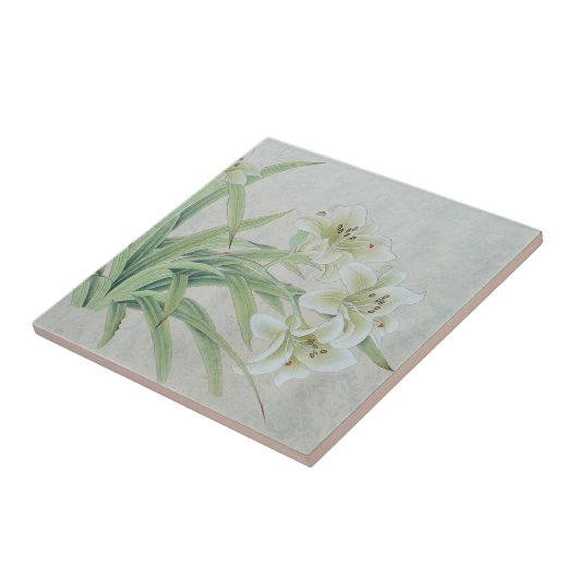 White Lily Fliese (Seite)