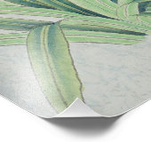 White Lily Fotodruck (Ecke)