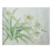 White Lily Fotodruck (Vorne)