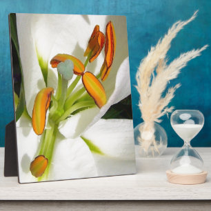 White Lily Fotoplatte