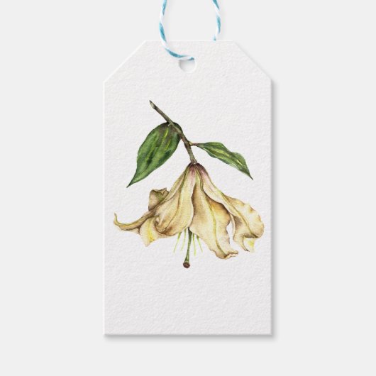White Lily Geschenkanhänger (Vorderseite)
