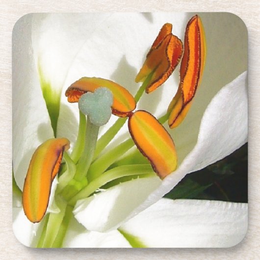 White Lily Getränkeuntersetzer (Vorderseite)