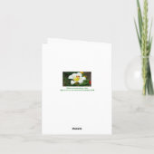 White Lily Karte (Rückseite)